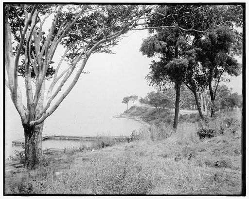 Bay shore road, Brooklyn, N.Y.