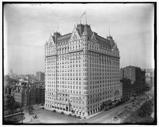 Plaza Hotel, New York, N.Y.