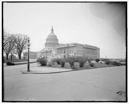The United States Capitol, Washington, D.C.