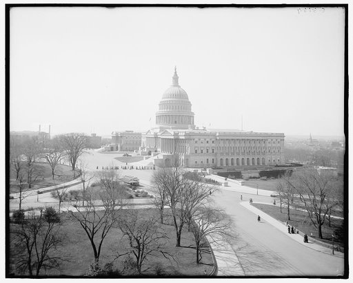 North view of United States Capitol, Washington, D.C.