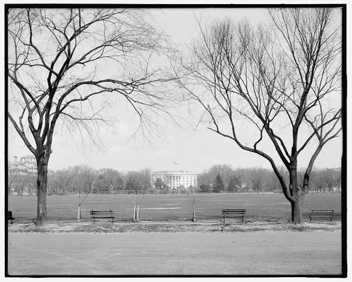 Glimpse of White House from Monument Green (Mall), Washington, D.C.