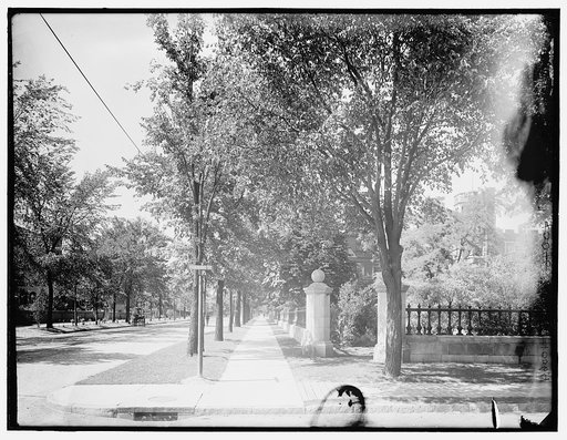 View looking north along Trumbull Avenue in Detroit, Michigan