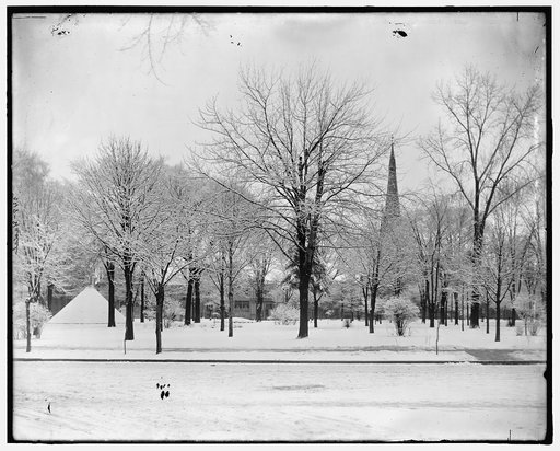 Winter study, Grand Circus Park