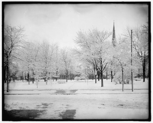 Winter study, Grand Circus Park