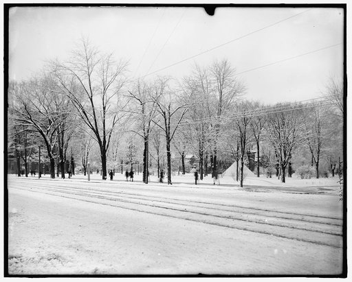 Winter study, Grand Circus Park