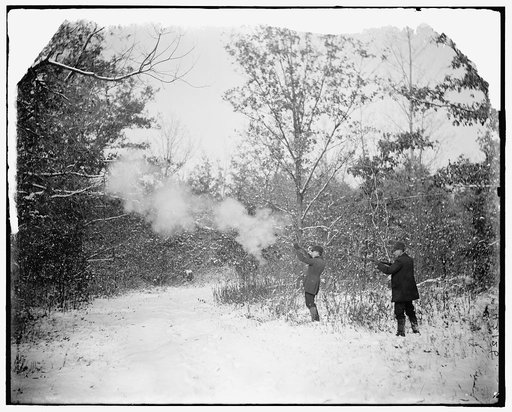 Hunters shooting, probably for birds