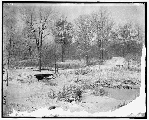 Road in winter landscape