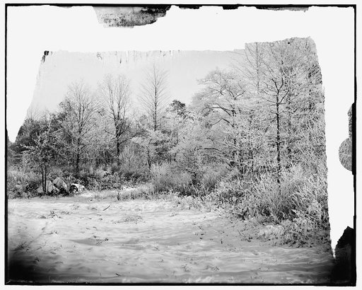 Landscape with trees