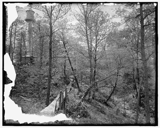 Mr. Hugh R. McCullough residence, a corner in the shrubbery, Lake Forest, Ill.
