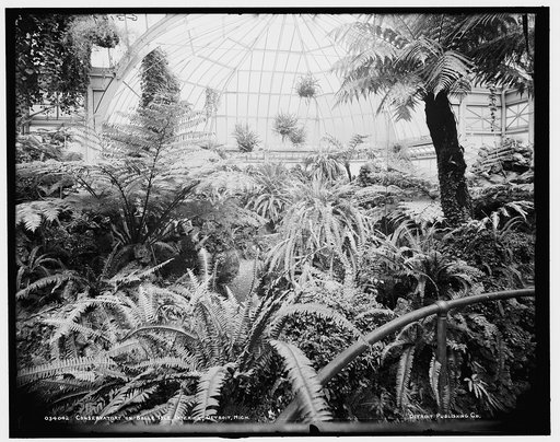 Conservatory on Belle Isle [Park], interior, Detroit, Mich.
