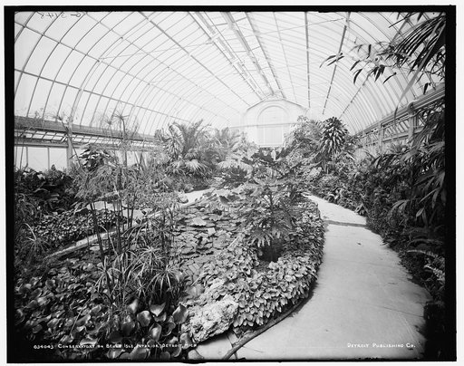 Conservatory on Belle Isle [Park], interior, Detroit, Mich.