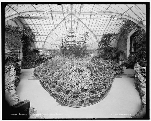 Conservatory on Belle Isle [Park], interior, Detroit, Mich.