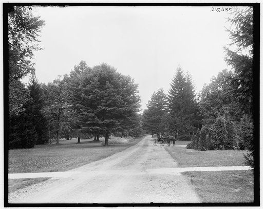 Driveway, Michigan Agricultural College (Michigan State University), East Lansing, Mich.