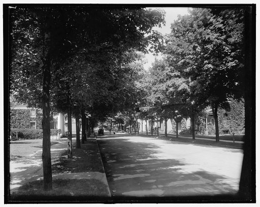 Jefferson Avenue, Grand Rapids, Mich.