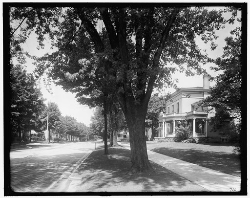 Sheldon Avenue, Grand Rapids, Mich.