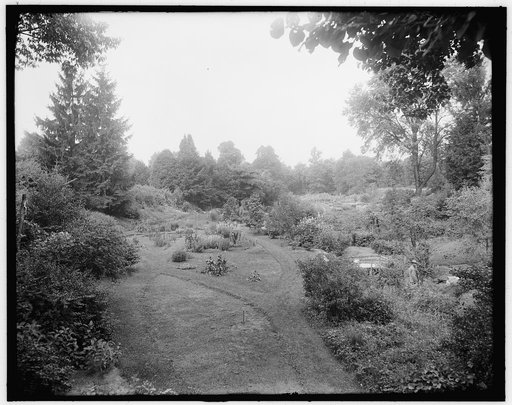 Wild garden, Michigan Agricultural College (Michigan State University), East Lansing, Mich.