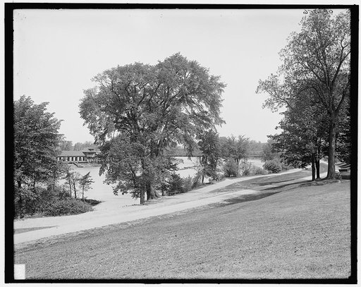 Glimpse of river at Genesee Valley Park, Rochester, N.Y.
