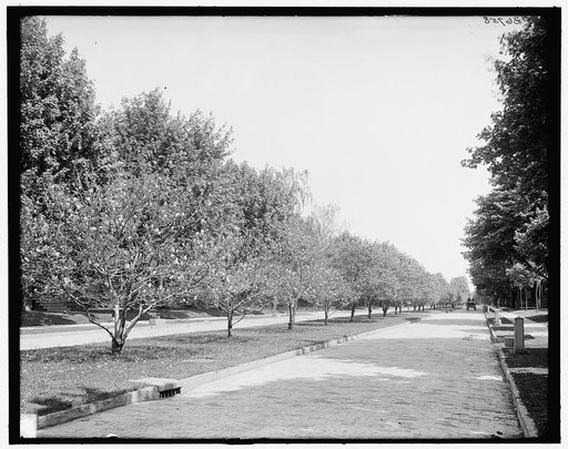 Oxford Street, Magnolia town, Rochester, N.Y.