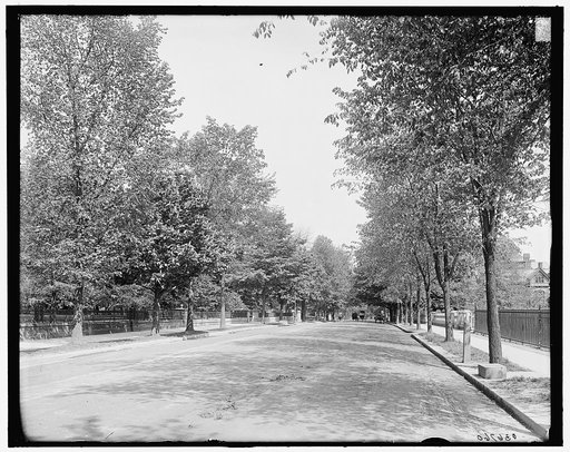 East Avenue, Rochester, N.Y.