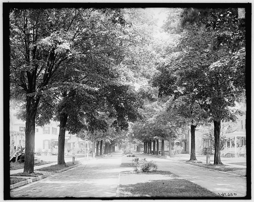 Arnold Park, Rochester, N.Y.