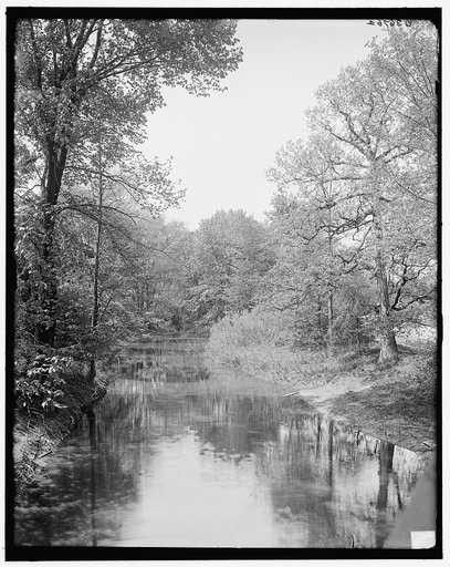 Stream in Genesee Valley Park, Rochester, N.Y.