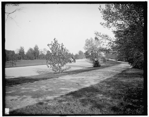 The Speedway, Seneca Park, Rochester, N.Y.