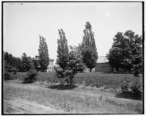 The Firs from orchard, New Baltimore, Mich.