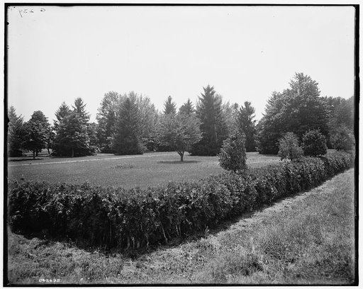 The Firs, a corner of the lawn, New Baltimore, Mich.