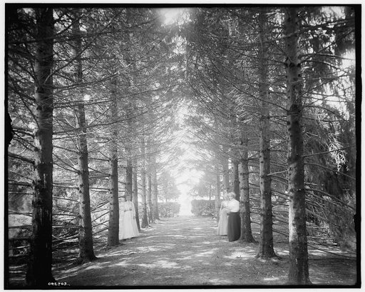 The Firs, under the firs, New Baltimore, Mich.