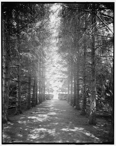 The Firs, under the firs, New Baltimore, Mich.