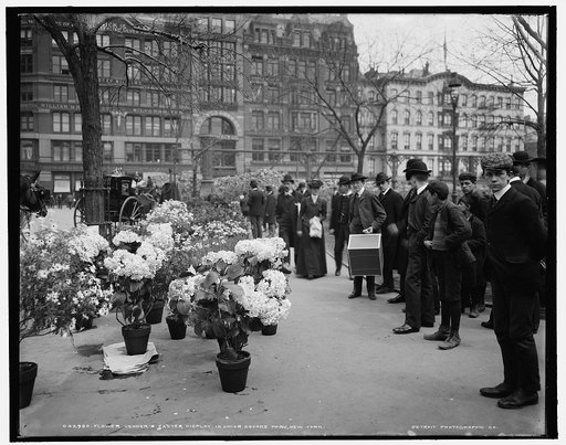 Flower vender's [sic] Easter display in Union Square Park, New York