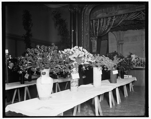 Exhibits, American Carnation Society Exhibition, Detroit, Mich.