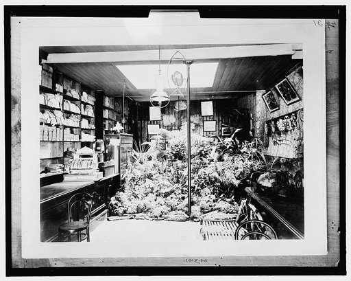 C.F. Newman and Sons, Seedsmen, Adelaide, Australia