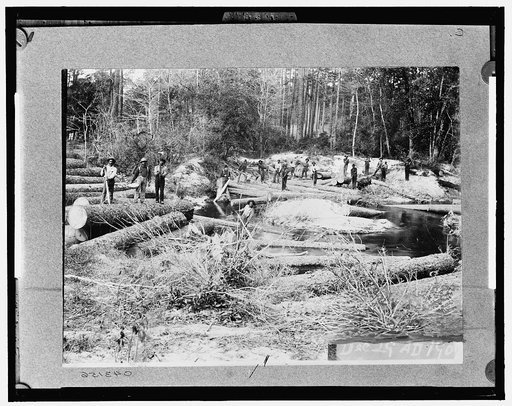 Rafting pine logs, Keystone Lumber Company