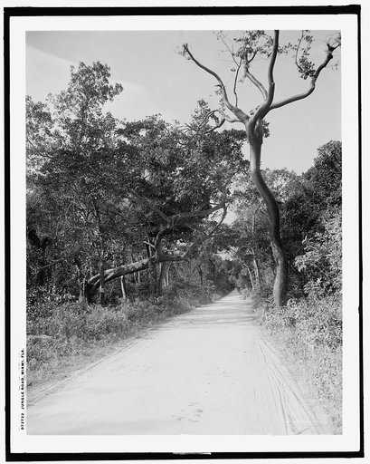 Jungle Road, Miami, Fla.