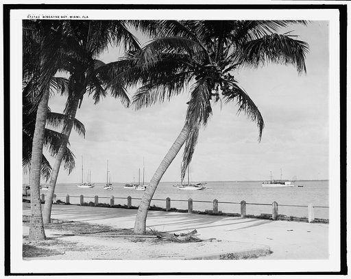 Biscayne Bay, Miami, Fla.
