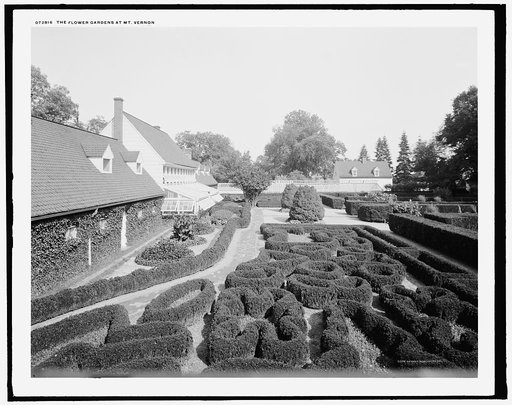 The Flower gardens at Mt. Vernon
