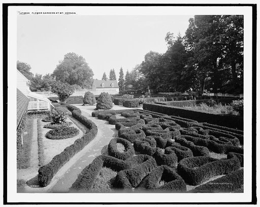 Flower gardens at Mt. Vernon