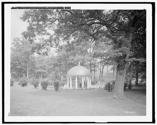 The White sulphur spring, White Sulphur Springs, W. Va.