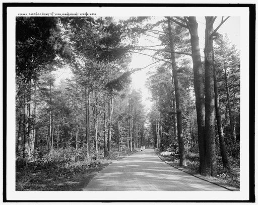 Carriage drive to High Lawn House, Lenox, Mass.