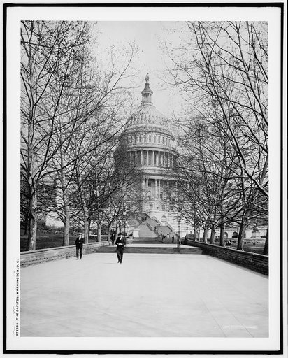 The Capitol, Washington, D.C.