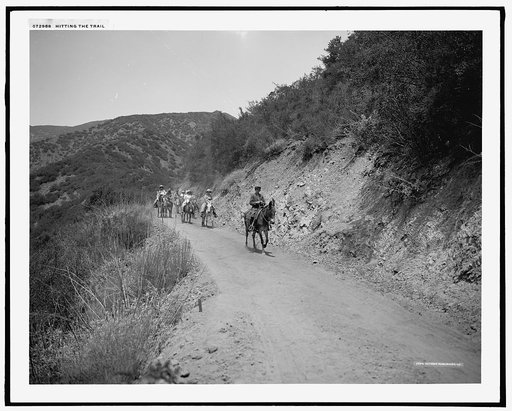 Hitting the trail