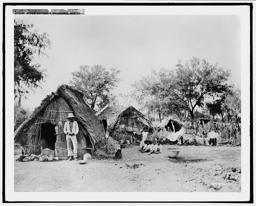 Straw cottage, Salamanca, Mexico