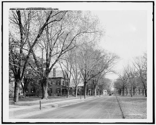 Officers' row, U.S. Armory, Springfield, Mass.