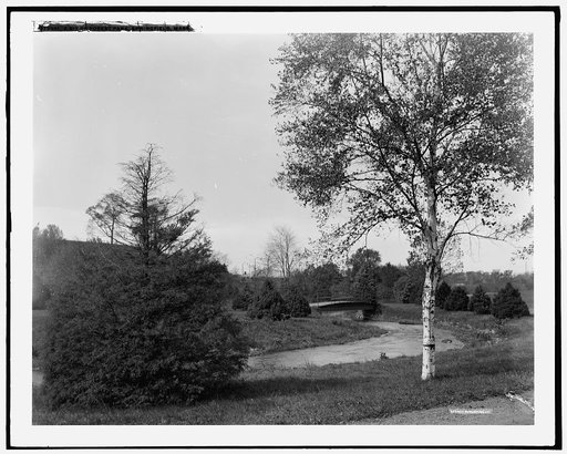 A Bit of Forest Park, Springfield, Mass.