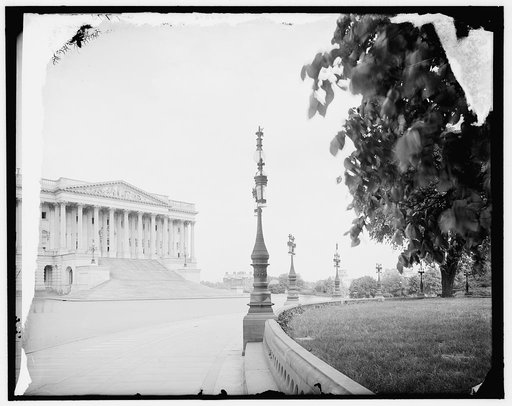 The United States Capitol, Washington, D.C.