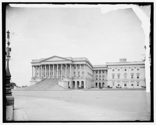 The United States Capitol, Washington, D.C.