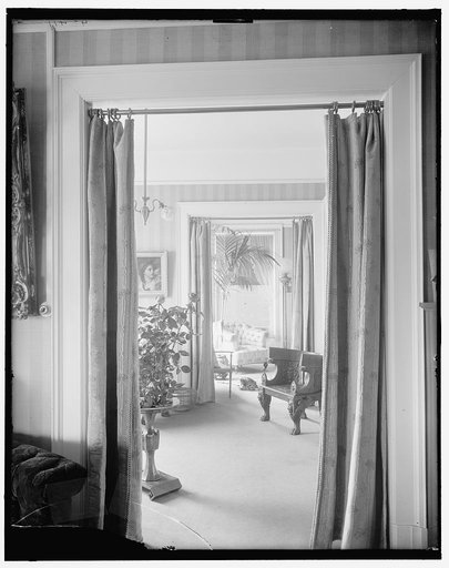 Views through portieres, roses and palm