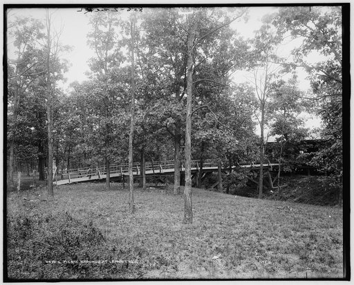 Picnic grounds at Lemont, Ill's.