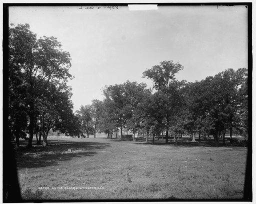 On the island [Island Park], Wilmington, Ill's.
